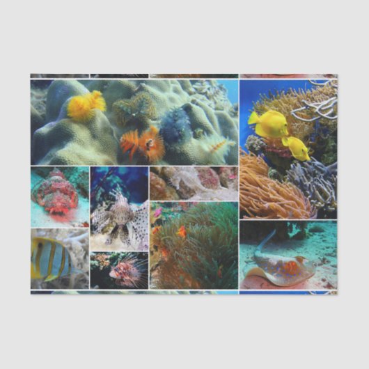 Unterwasser 36 seidenpapier (Vorderseite)