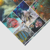 Unterwasser 36 seidenpapier (Ausschnitt)