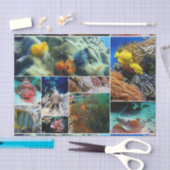 Unterwasser 36 seidenpapier (Handwerk)