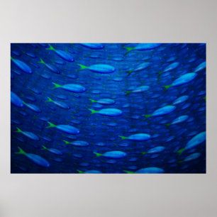 Unterwasser 4 poster