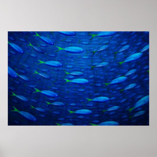 Unterwasser 4 poster (Vorne)