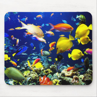 Unterwasser 5 mousepad
