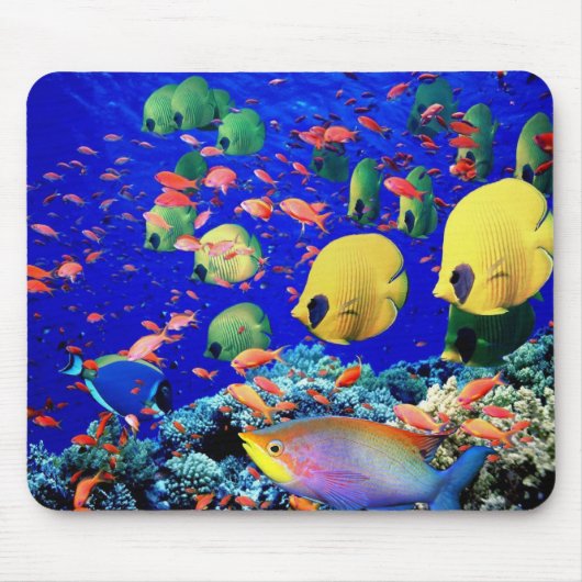 Unterwasser 6 mousepad (Vorne)