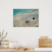 Unterwasser-Bahamas Poster (Küche)