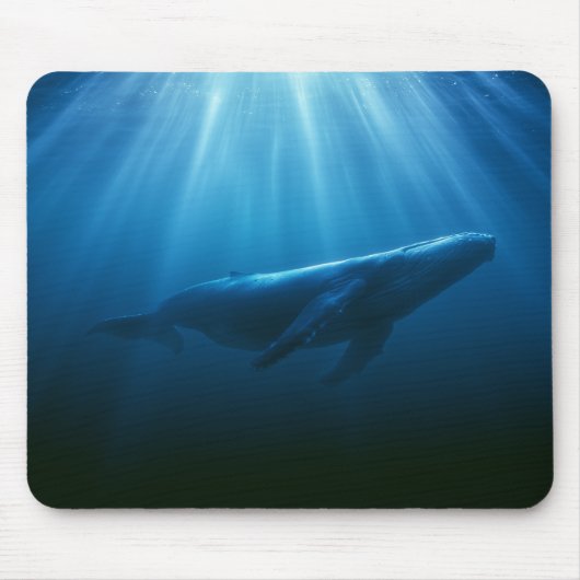 Unterwasser Buckelwal Mousepad (Vorne)