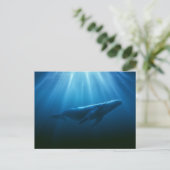 Unterwasser Buckelwal Postkarte (Stehend Vorderseite)