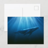 Unterwasser Buckelwal Postkarte (Vorne/Hinten)