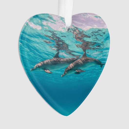 Unterwasser-Delphine Dated Foto Custom Ornament (Vorderseite)