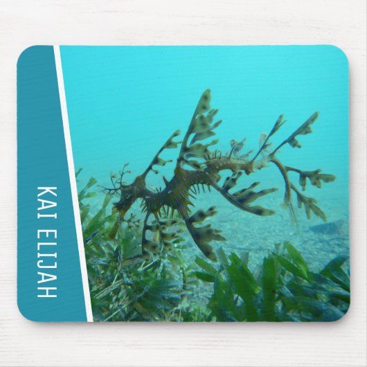 Unterwasser-Drachensee Mousepad (Vorne)