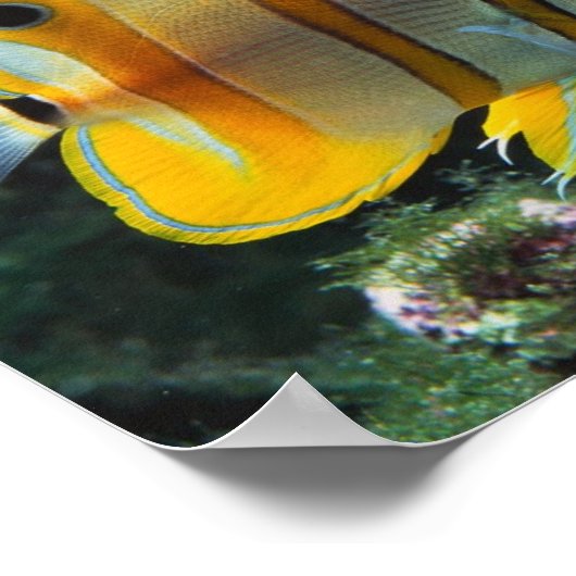 Unterwasser-Erlebnis Poster (Ecke)