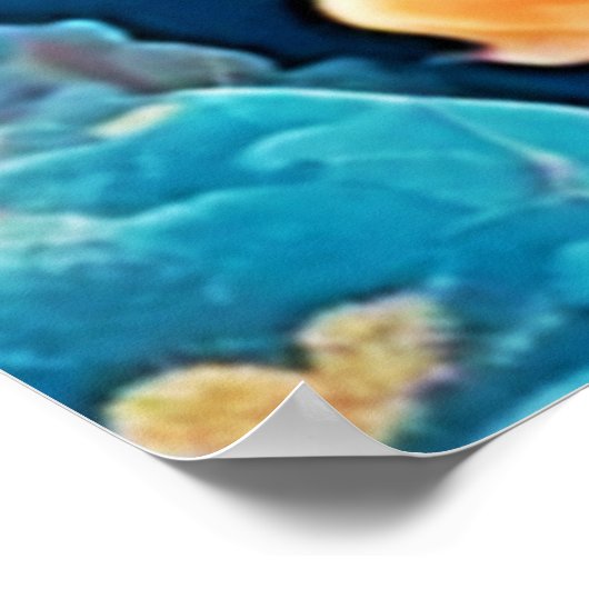 Unterwasser-Goldfish-Kunst Poster (Ecke)