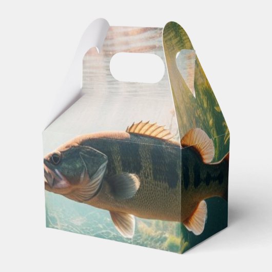 Unterwasser-Großmutterbass Geschenkschachtel (Vorderseite)