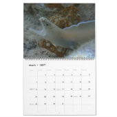 Unterwasser Guam 12 Monate Kalender (Mär 2027)