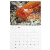 Unterwasser Guam 12 Monate Kalender (Jan 2027)