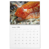 Unterwasser Guam 12 Monate Kalender (Jan 2026)