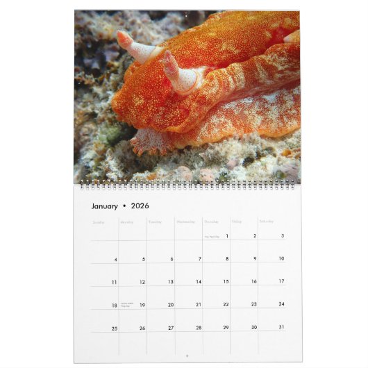 Unterwasser Guam 12 Monate Kalender (Jan 2026)