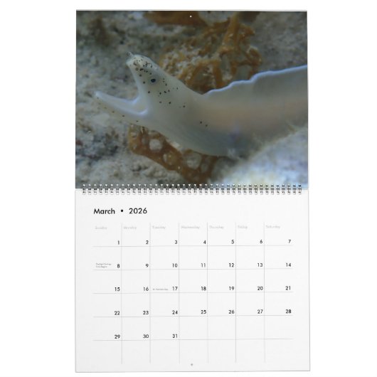 Unterwasser Guam 12 Monate Kalender (Mär 2026)