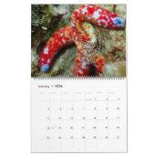 Unterwasser Guam 24 Monatskalender Kalender (Jan 2026)