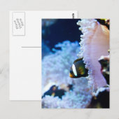 Unterwasser-Hintergrund Postkarte (Vorne/Hinten)