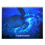 Unterwasser Kalender (Titelbild)