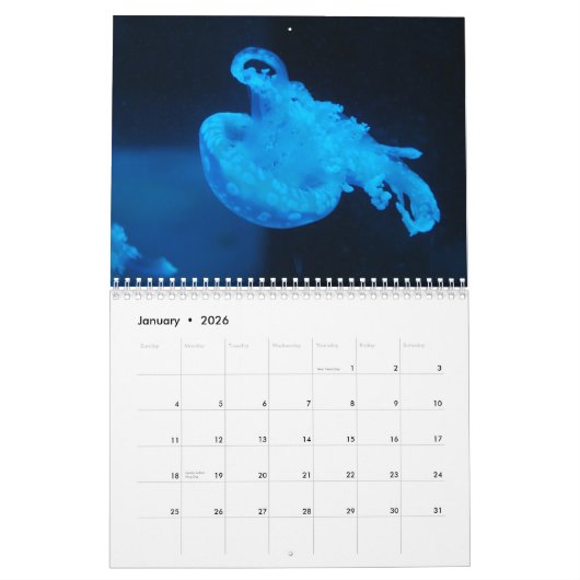 Unterwasser Kalender (Jan 2026)