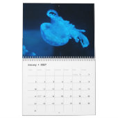Unterwasser Kalender (Jan 2027)