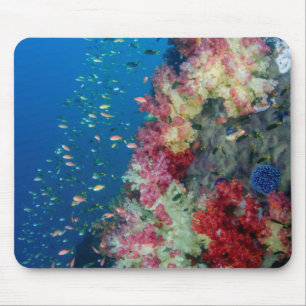Unterwasser-Korallenriff, Indonesien Mousepad