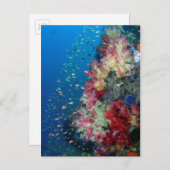 Unterwasser-Korallenriff, Indonesien Postkarte (Vorne/Hinten)