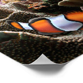 Unterwasser-Korallenriff tropische Fische Poster (Ecke)
