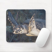 Unterwasser-Leben: Eine Hawksbill Sea Turtle 2 Mousepad (Mit Mouse)