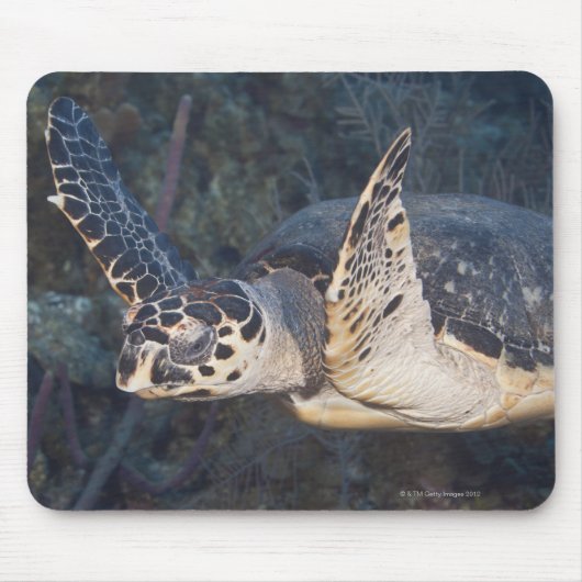 Unterwasser-Leben: Eine Hawksbill Sea Turtle 2 Mousepad (Vorne)