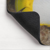 Unterwasser-Leben, FISH: farbenfrohe Spotfin Mousepad (Ecke)