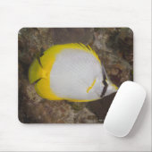 Unterwasser-Leben, FISH: farbenfrohe Spotfin Mousepad (Mit Mouse)