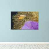 Unterwasser-LIfe; FISH: Clownfish (rosa) Leinwanddruck (Insitu (Holzboden))