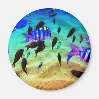 Unterwasser Magnet