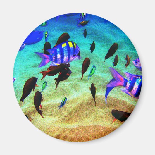 Unterwasser Magnet (Vorne)