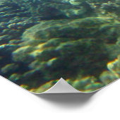 Unterwasser-Meereswelt Fotobuch drucken Poster (Ecke)