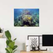 Unterwasser-Meereswelt Fotobuch drucken Poster (Heimbüro)