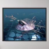 Unterwasser Poster (Vorne)