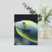 Unterwasser Postkarte (Stehend Vorderseite)