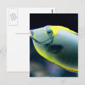 Unterwasser Postkarte (Vorne/Hinten)