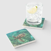 Unterwasser-Schönheit Steinuntersetzer (Seitenansicht)