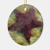 Unterwasser-Starfish auf den Bahamas Keramikornament (Links)