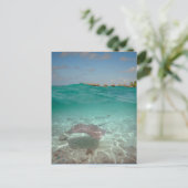 Unterwasser-Stingray in Bora Bora Postkarte (Stehend Vorderseite)