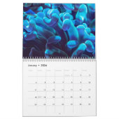 Unterwasser-Tauchen Erkundung Korallenriff Kalender (Jan 2026)