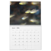 Unterwasser von Siquijor S- L Kalender (Mär 2026)