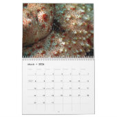 Unterwasser von Siquijor S- L Kalender (Mär 2026)