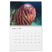 Unterwasser von Siquijor S- L Kalender (Feb 2026)