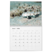 Unterwasser von Siquijor S- L Kalender (Mär 2026)