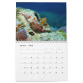 Unterwasser von Siquijor S- L Kalender (Jan 2026)